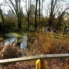 Le rane dell'orto botanico