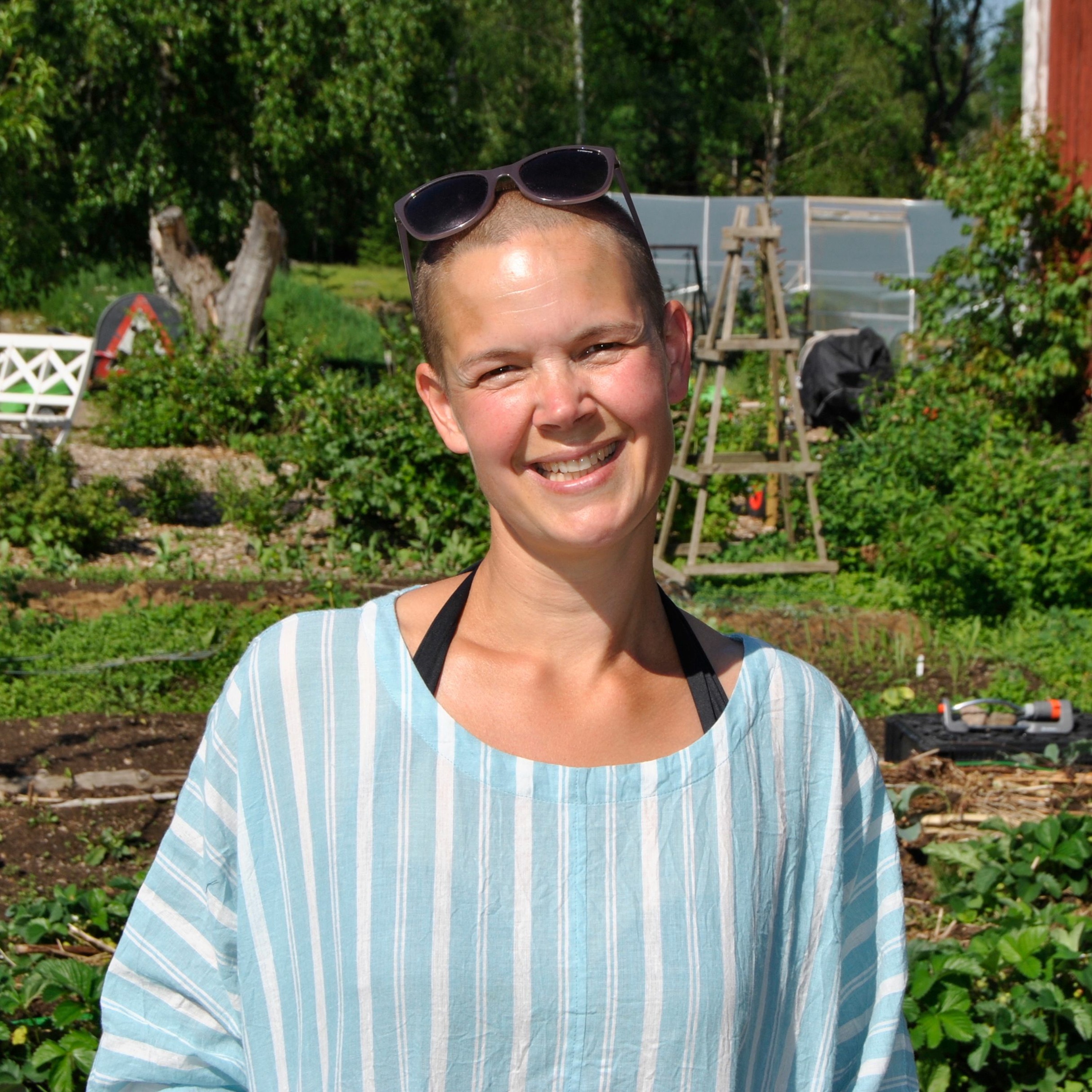 Drömmen om Målajord