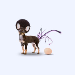 Erika Erotika - Prod. by Salbei