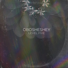 05 Alshemi