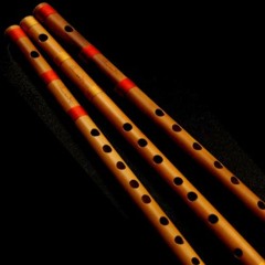 Flute voice 2024