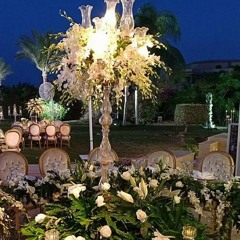 دوري علي مكانك    رحله ذات  رودينا ياسين