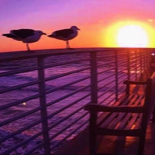 Ｖｉｒｔｕａｌ Ｗａｌｋ
