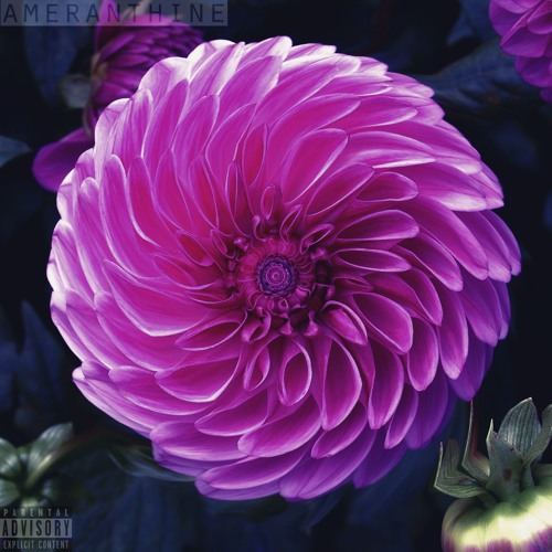 bottom of the bottle (prod. pavelll)