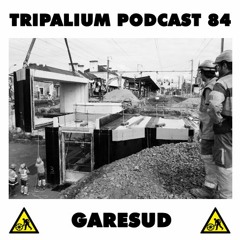 Tripalium Podcast 84 - GareSud