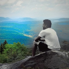 Hesitate - Golden Vessel (MoonLotus Original Cover)