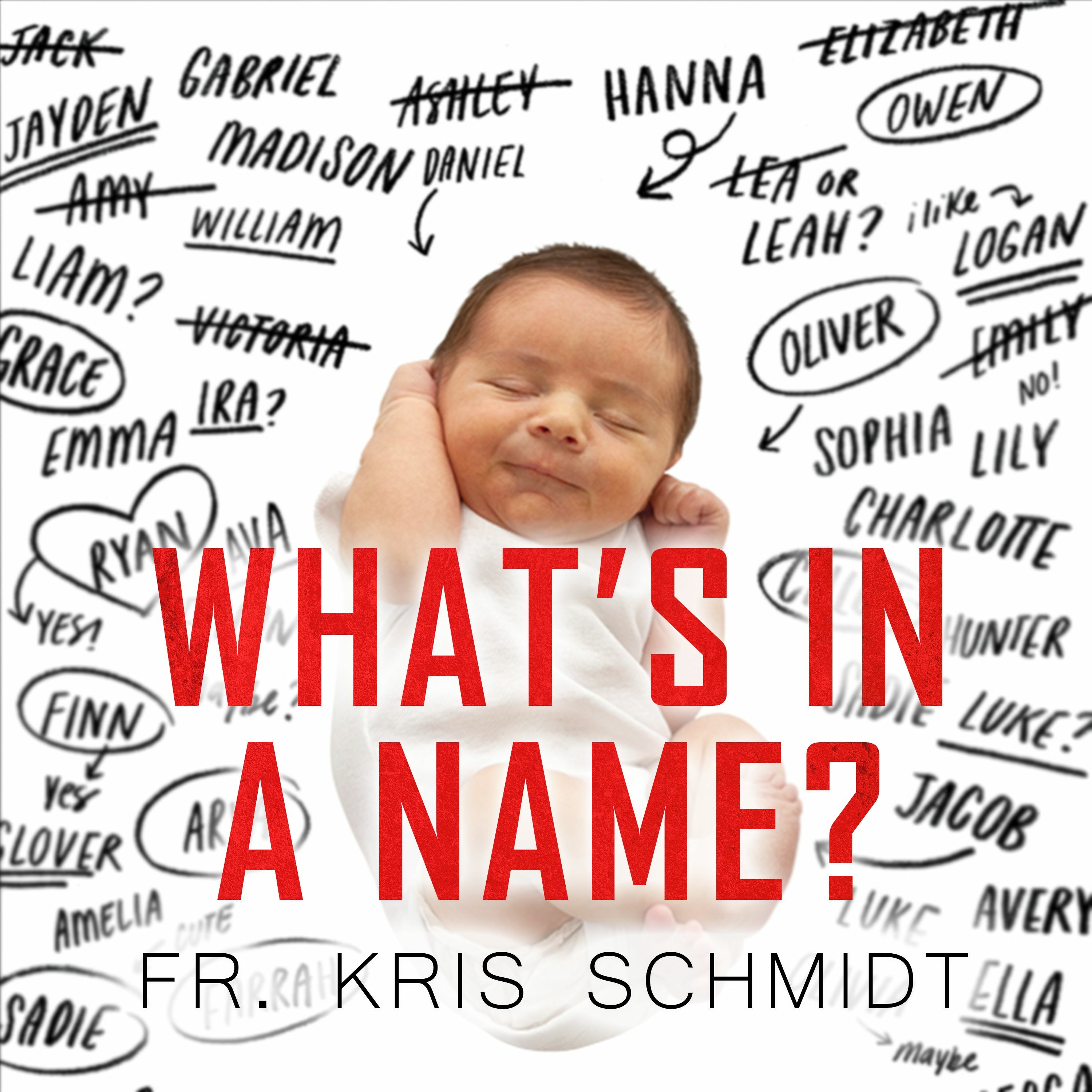 Fr. Kris Schmidt Homilies