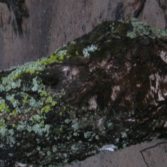 Джон Кехо Семь привычек