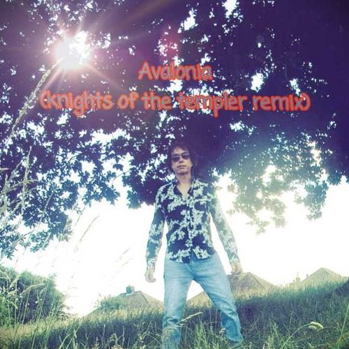 Avalonia [knights of the templer remix]