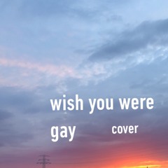 Wish You Were Gay (live cover)