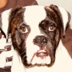 Never Forget ft SHADO