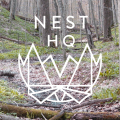NEST HQ MiniMix: Detroit's Filthiest fka DJ Nasty