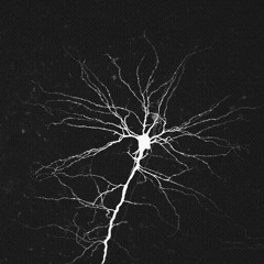 2_theTrees