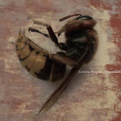 kampf (fall der götter, düsseldorfer schauspielhaus 2009)