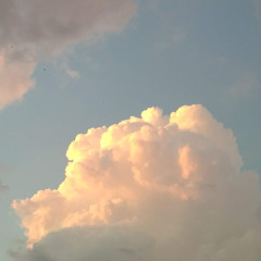 Spacefaring Species - Endure To Blossom