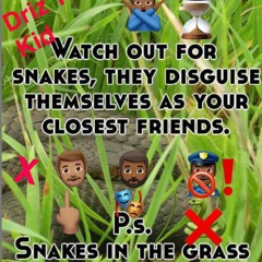 Driz X FatHead - Snakes In The Grass