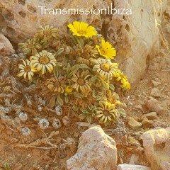 Fingers Inc - No More Lonely(TransmissionIbiza JackTrax Edit)