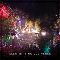 Electrifying SUSIverse | Susifest 2018