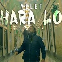 Velet - Hara Lo