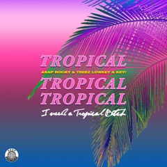 A$AP Rocky - Tropical (Zuzi Remix) (feat. Treez Lowkey & Key!)