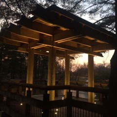 The Decemberists-Make You Better Cover