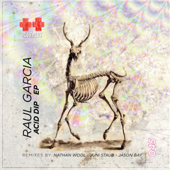 03. Raul Garcia - Acid Dip (Nathan Wool Remix) [SC Preview]
