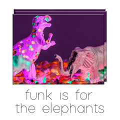 funk is for the elephants