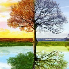 4 Seasons Tano Featuring MainO