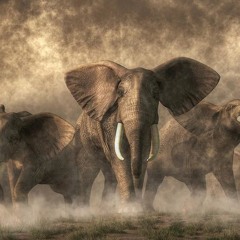 Free Racks - Freestyle (Prod. Corleone)