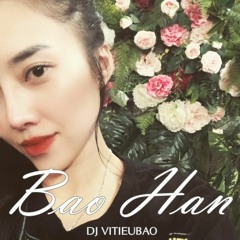HAPPY BIRTHDAY- BAO HAN - DJ VITIEUBAO