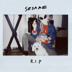 Sesame - R.I.P (dead girl MIXTAPE)