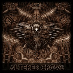 Alkaloids - Against The War On Drugs