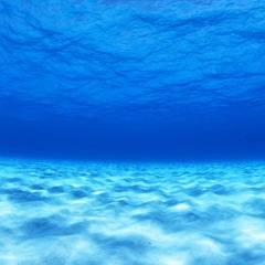 Underwater Bed.