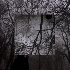 stilldeaderthanyou - night