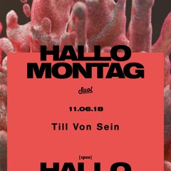 Till Von Sein @ Hallo Montag Open Air #07 (11.06.2018)