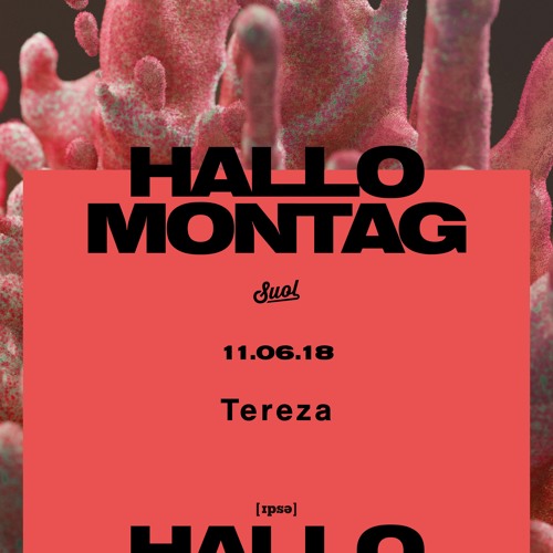 Tereza @ Hallo Montag Open Air #07 (11.06.2018)