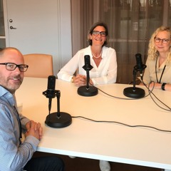 # 3 Barnrättsperspektiv – vad innebär det?