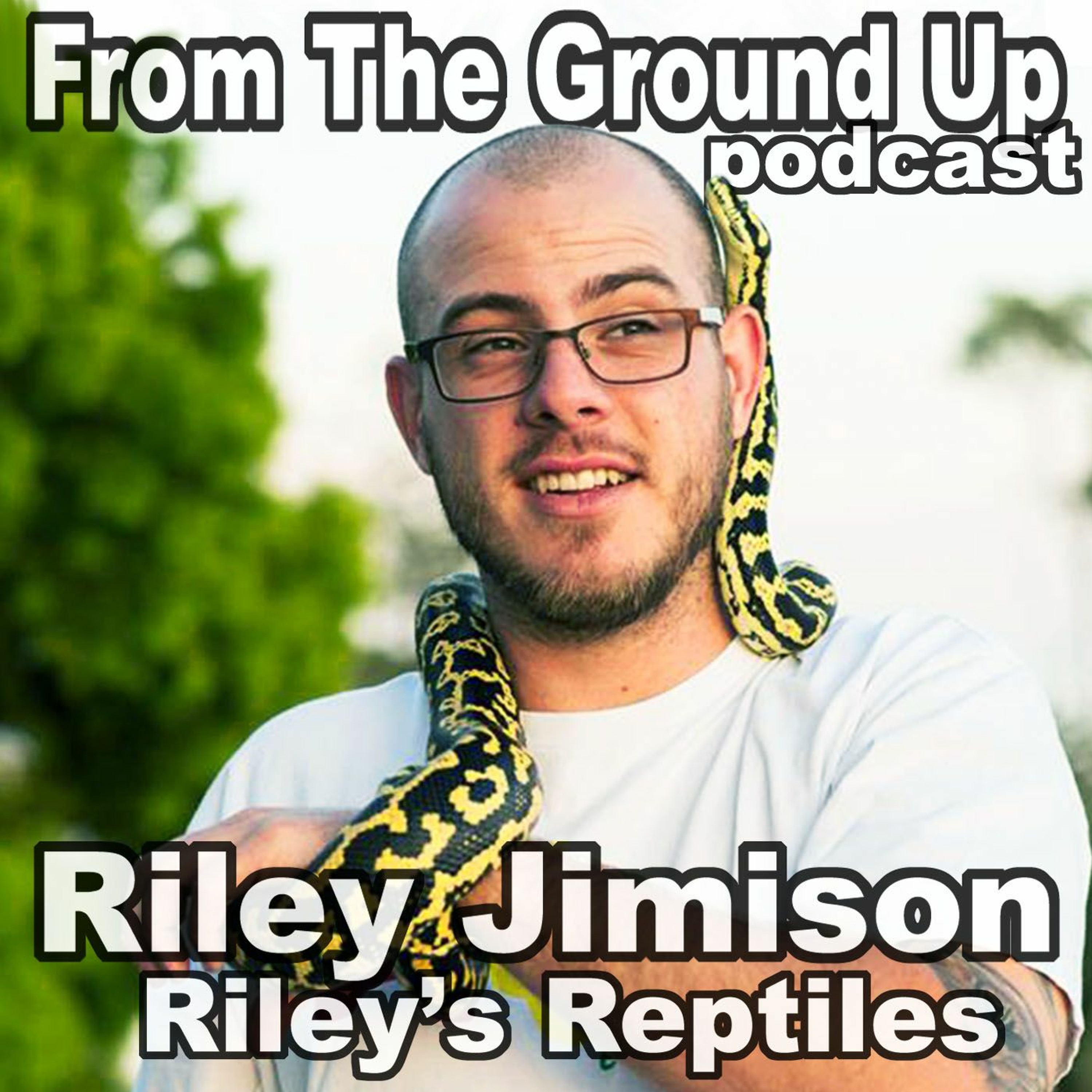 Modern Medusa Reptile Podcast - Where we talk everything cold-blooded (Snake Podcast)