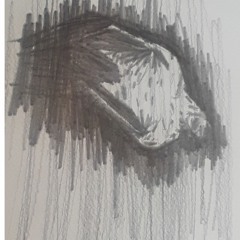 Seatbelts (Dylan Sizemore Cover)