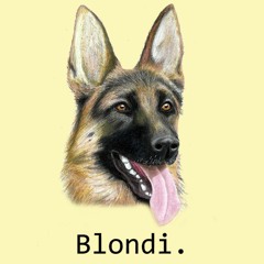 Blondi