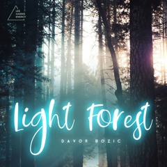 Light Forest (Self Worth trailer)