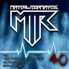 [MTR digital 040] ISN - The Voice of Fortune EP (Clips)