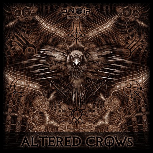 Grog--- 165bpm--- pre master