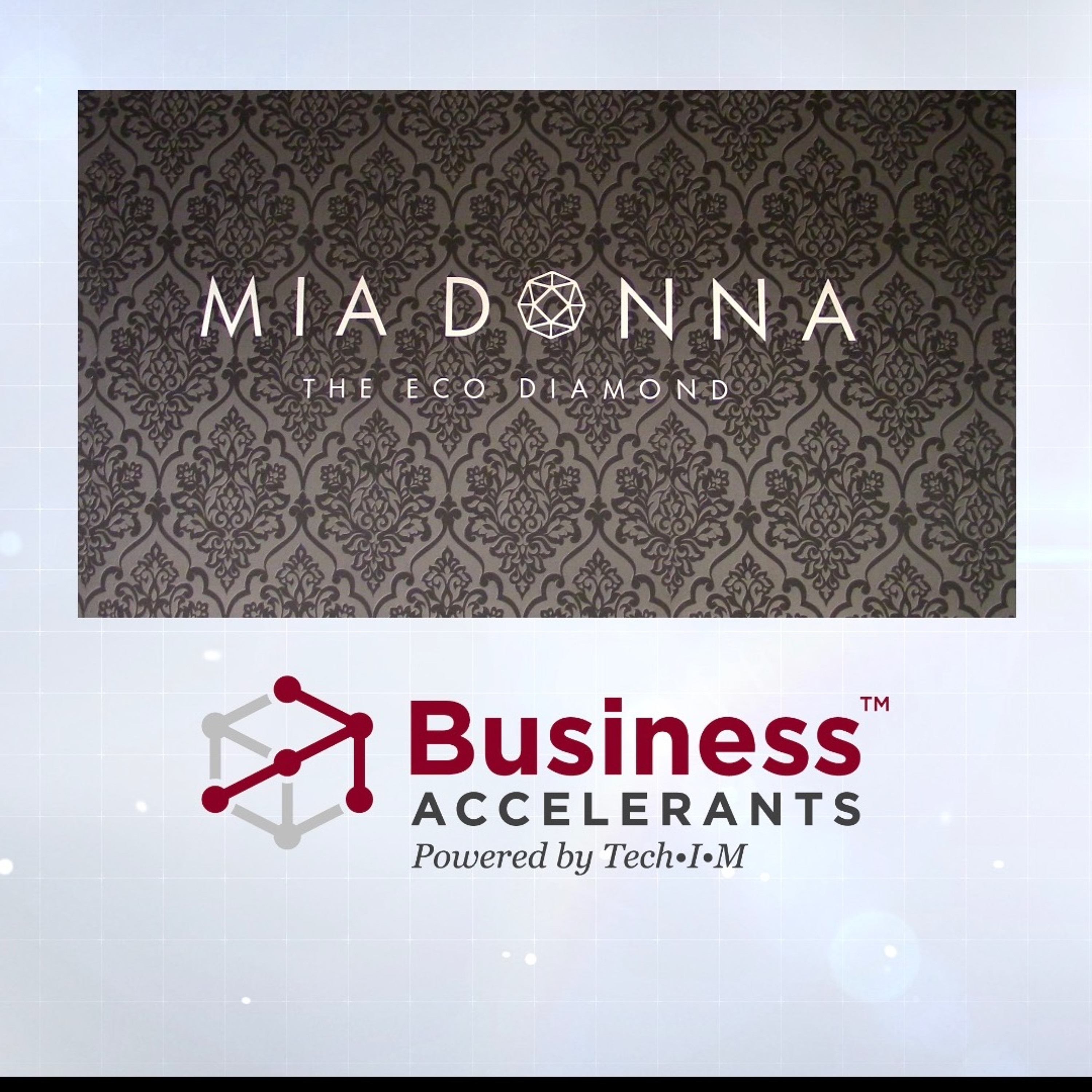 Business Accelerants Memos