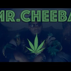 Mr. Cheeba