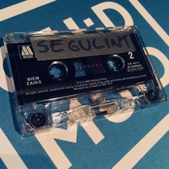 FIELDZ MIXTAPE #1: SEGULINT