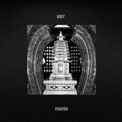 Fighter