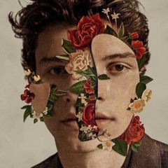 Perfectly Wrong - Shawn Mendes