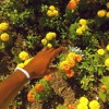 Tyler, the Creator - PEACH FUZZ