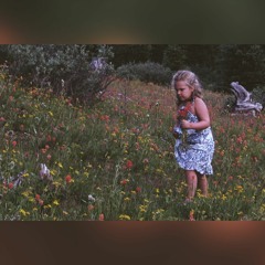 Incomplete - Macy Warner